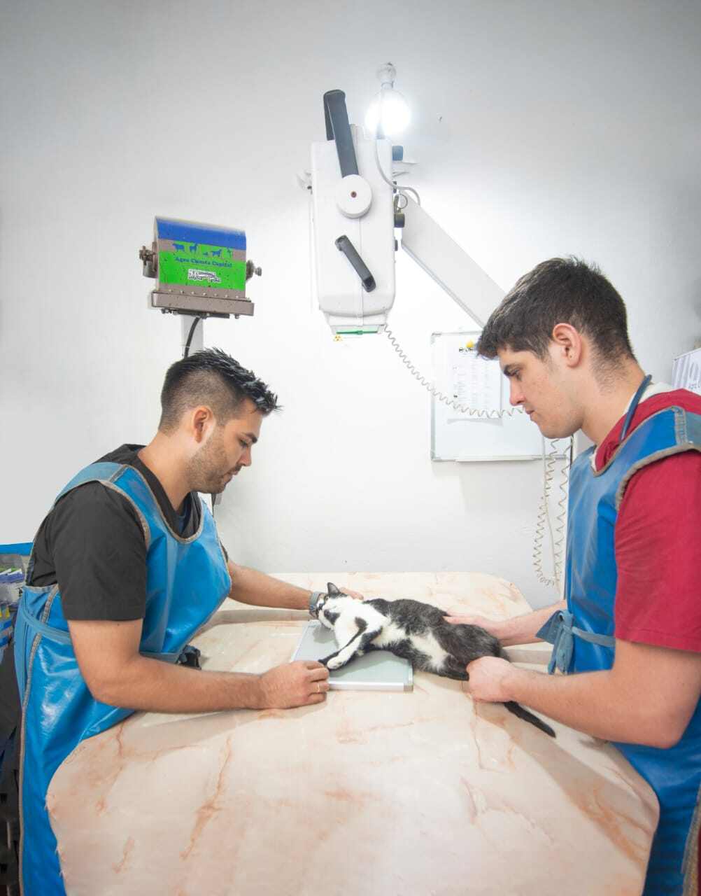AgroClínica Capital