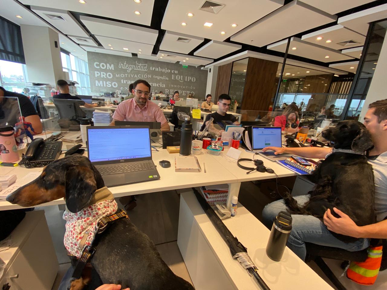 Banco Atlas