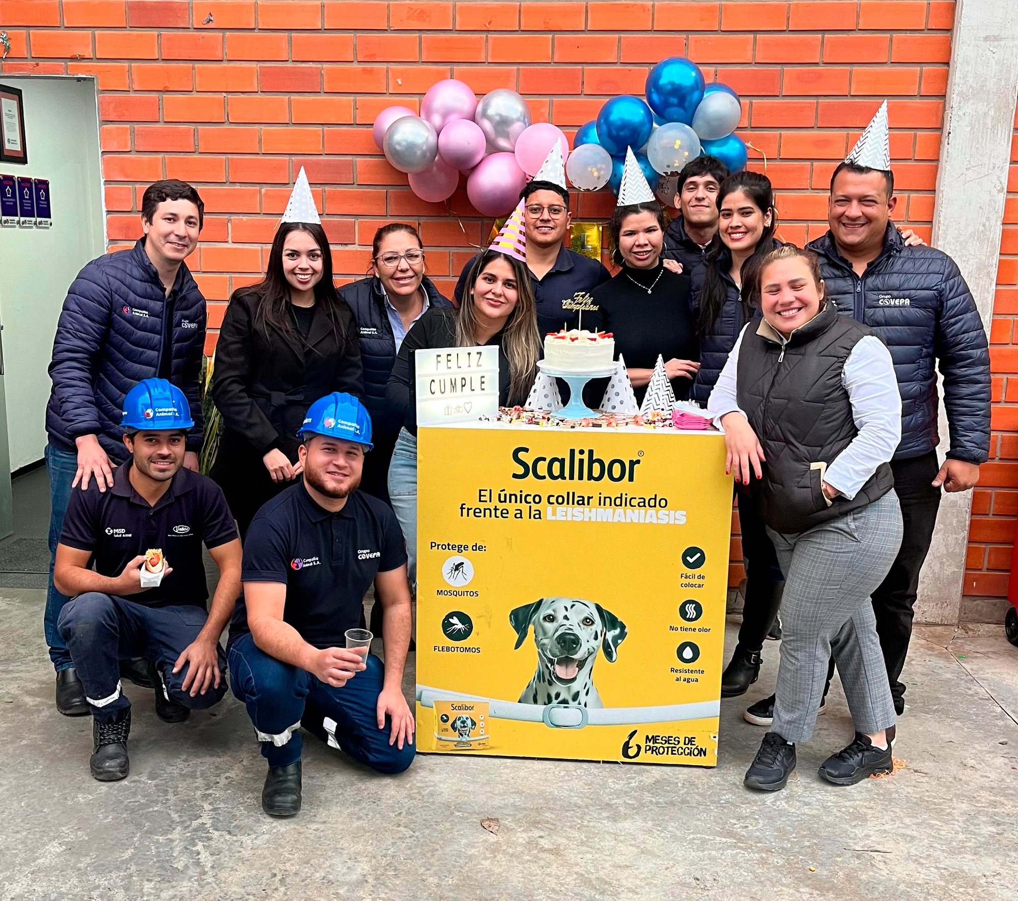Grupo Covepa