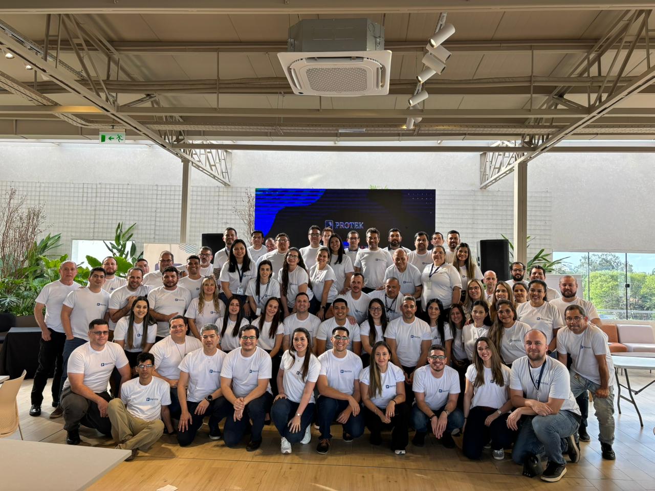 Grupo Protek
