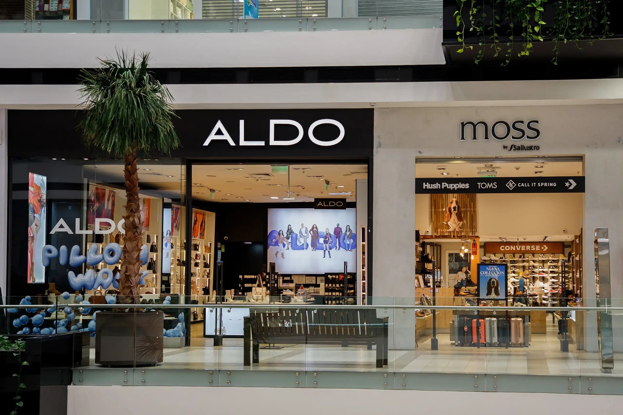 Sallustro y Compañia S.A.